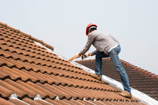 Best Green or Eco-Friendly Roofing Solutions  in Meadow Vista, CA
